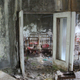 Illustration for article titled The Myth of an Untouched Chernobyl
